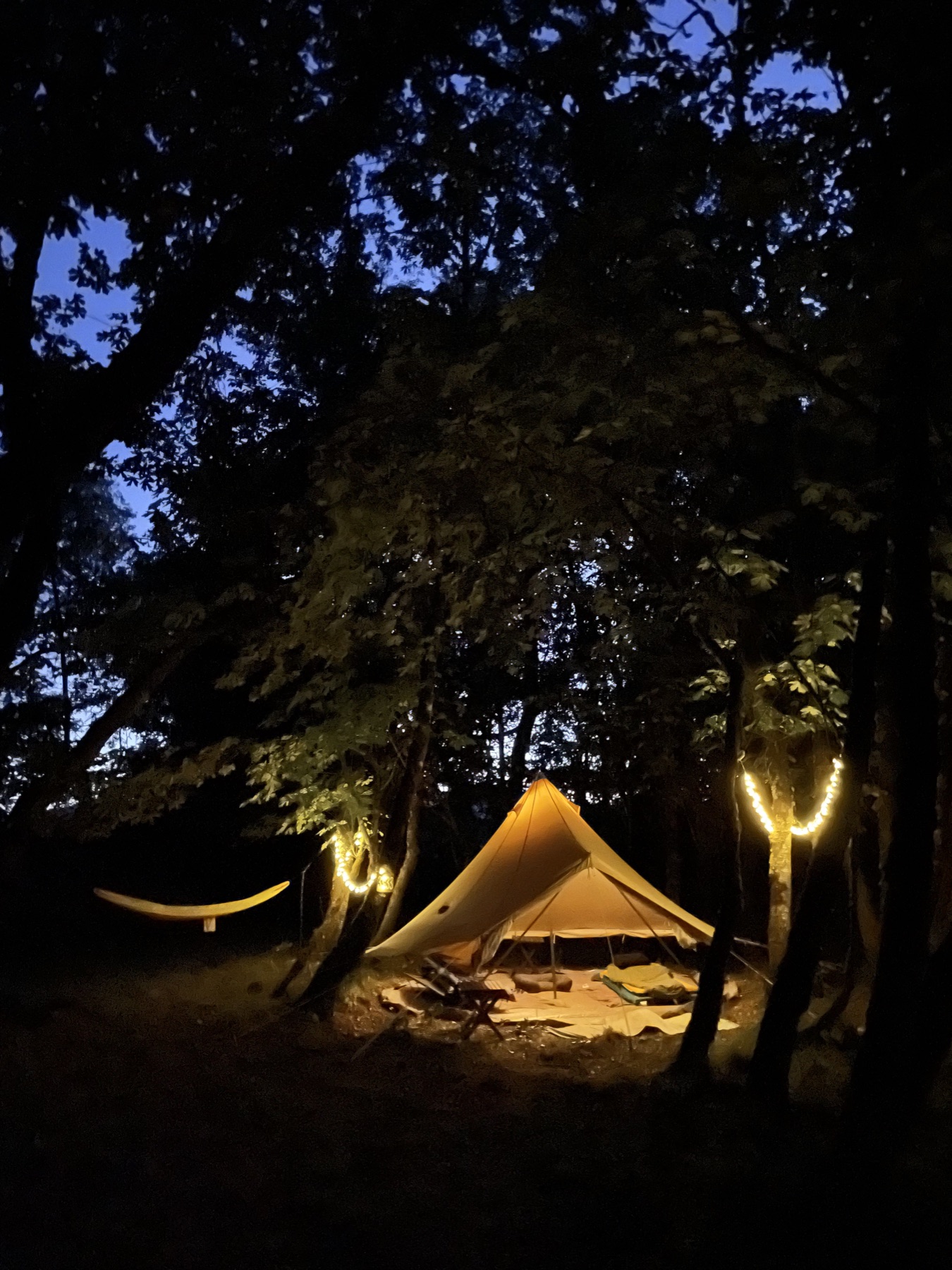 Immersive stays at the BioSync Industries farm