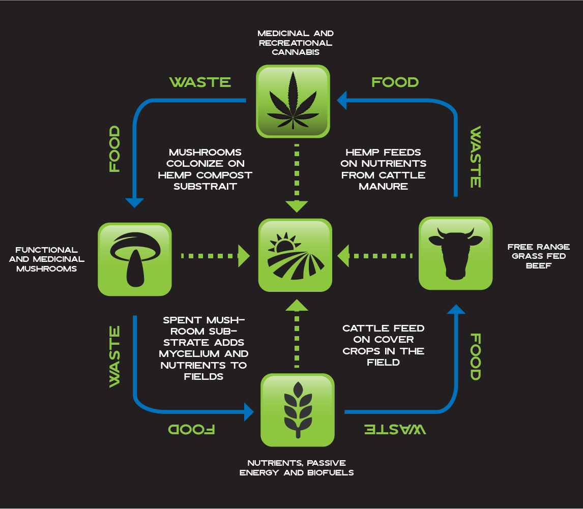 BioSync Industries circular economy diagram