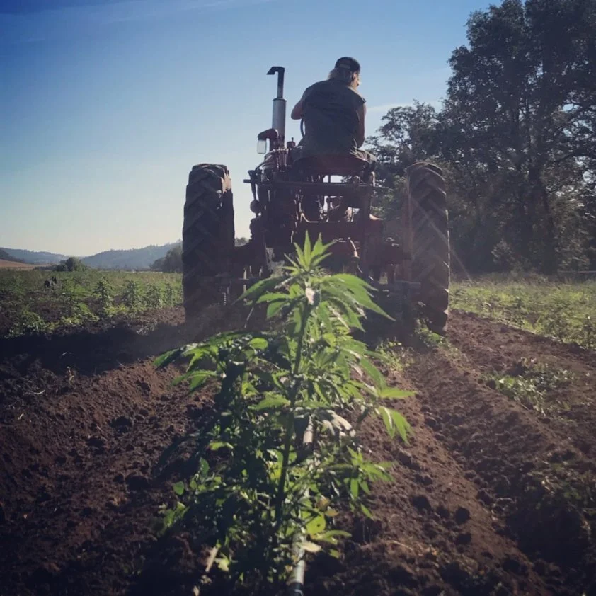 The BioSync Industries farm in Oregon's Umpqua Valley