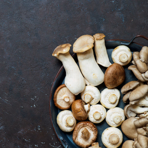 Biosync Industries Functional Mushrooms