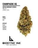Champagne OG 15% CBD Hemp Flower