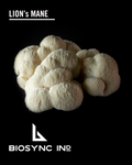 Lion's Mane Mushroom Powder
